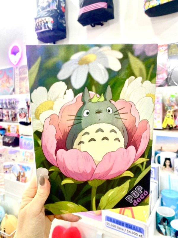 Producto - Cuadro Totoro en flor