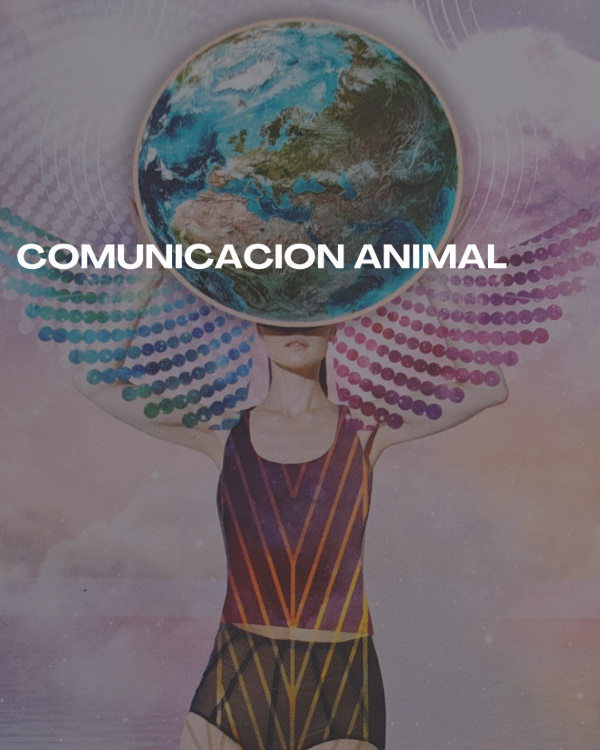 Producto - Taller de comunicación animal