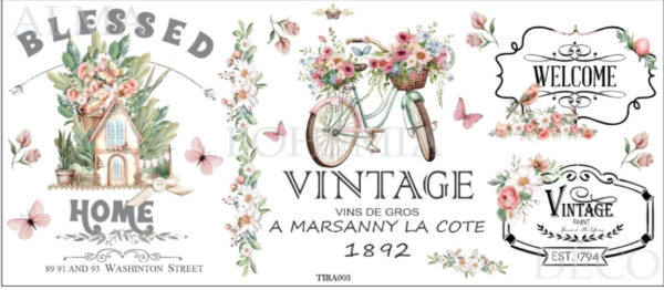 Producto - ALMA BOHEMIA TRANSFER TIRA003