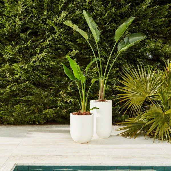 Producto - Maceta Alfar Rotomoldeada 35cm