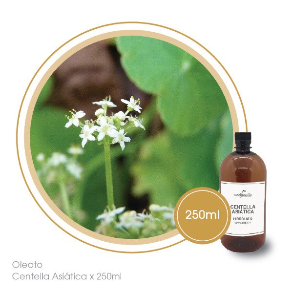 Producto - Oleato de Centella Asiática x 250 ml