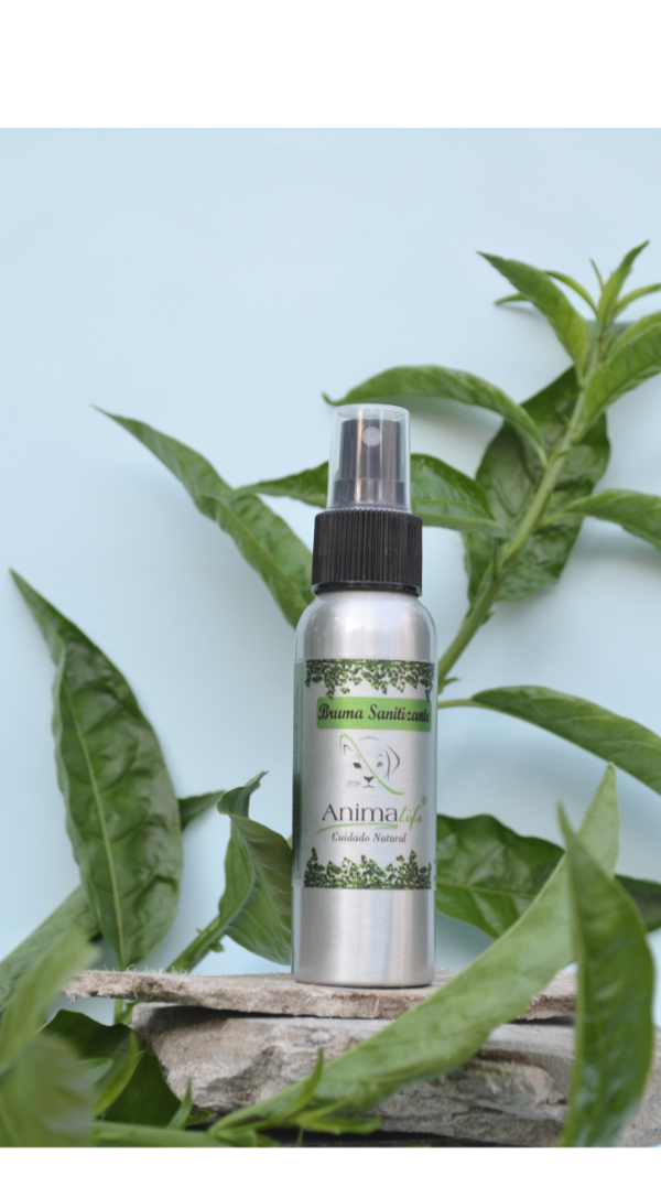 Producto - Bruma sanitizante