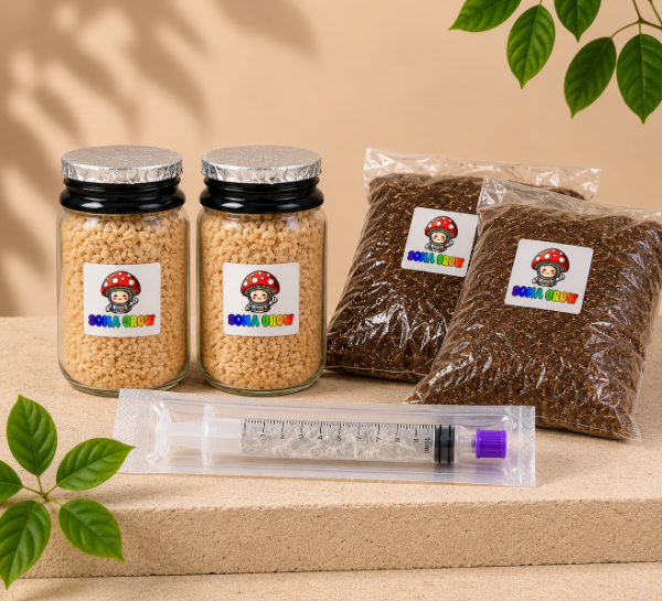 Producto - Kit Hongos Cultura Liquida Inicial