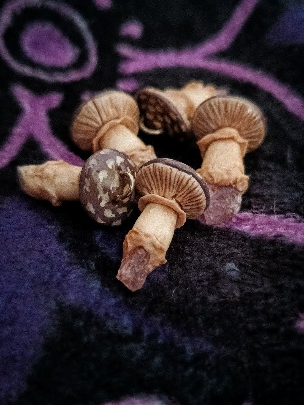 Producto - Setas petit Amanita Muscaria violeta