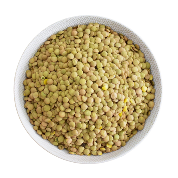 Producto - Lentejon
