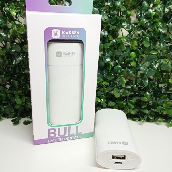 Producto - BATERIA PORTATIL (POWER BANK) 3.000mAh