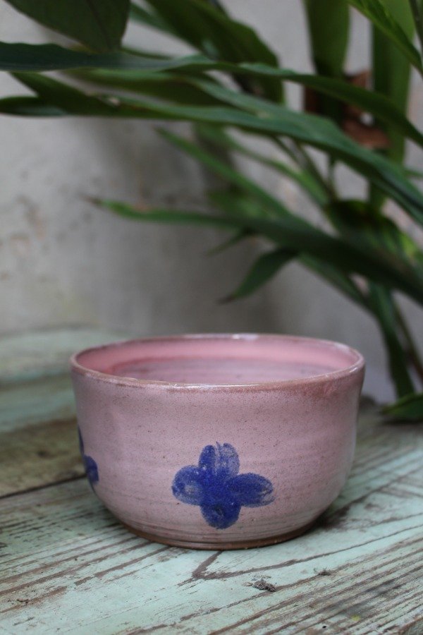 Producto - Bowl Frutilla M - 4
