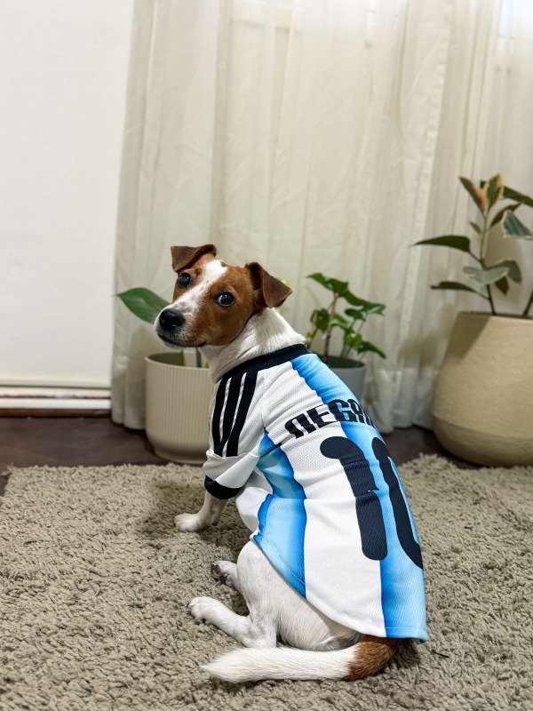 Producto - Camiseta Argentina