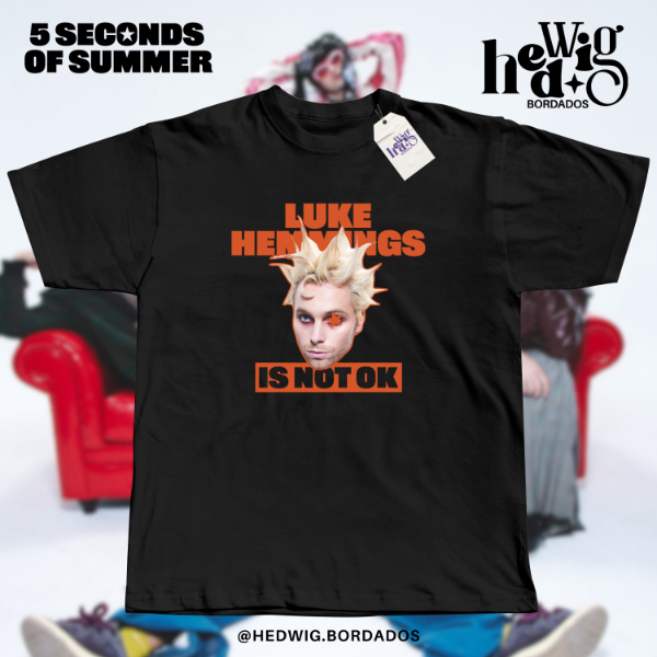 Remera 5sos luke is not ok - DTF