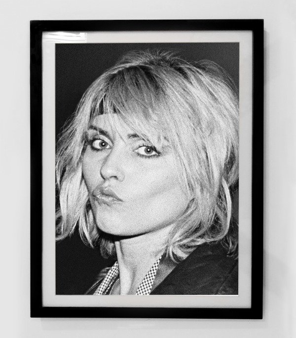 Producto - BLONDIE (Nro 6)