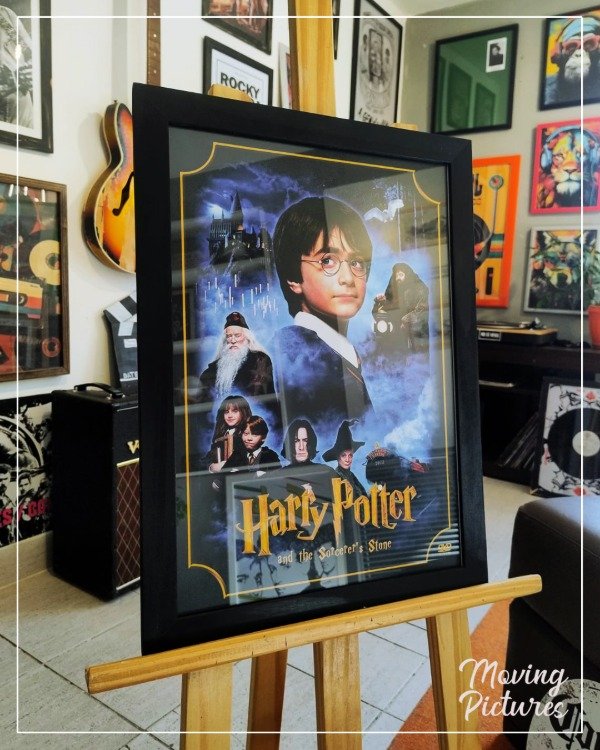 Producto - Cuadro Harry Potter