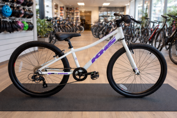 Producto - Bicicleta  SYNATUR Rod 24