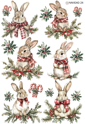 Producto - NAVIDAD 24 TR