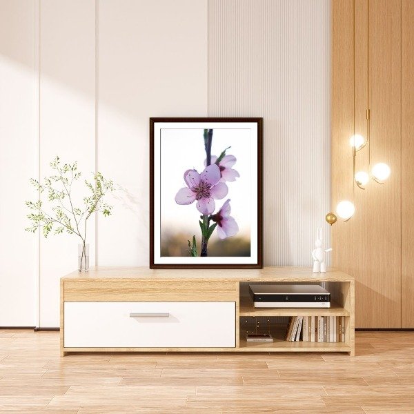 Producto - Primavera