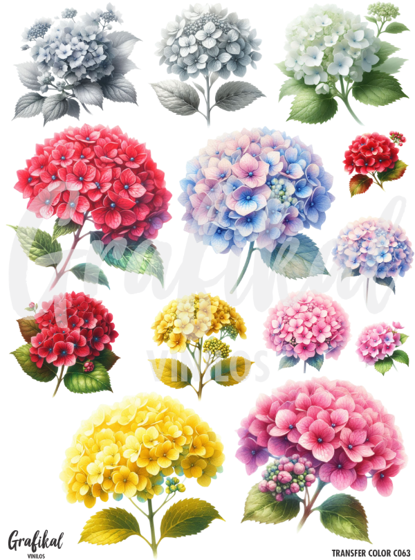 Producto - TransferColor 15x20 063