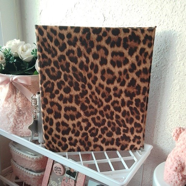 Producto - Binder A5 Hoshi