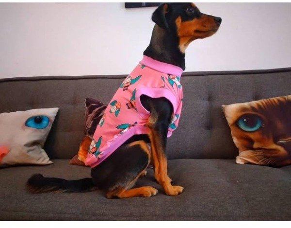 Producto - Combo vestidos/Musculosas nro 2