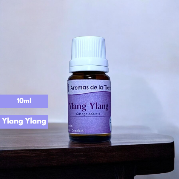 Producto - YLANG YLANG