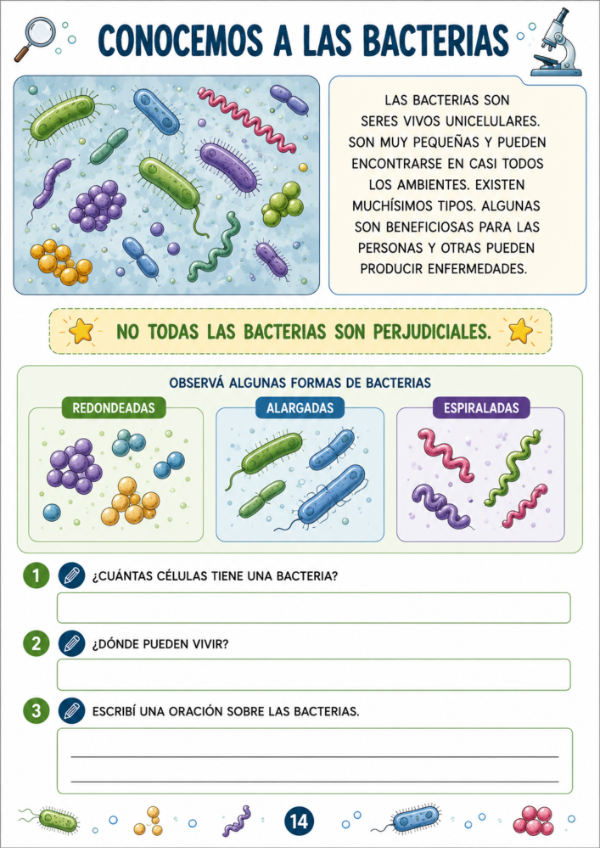 Producto - Vida de los Microorganismos - 12