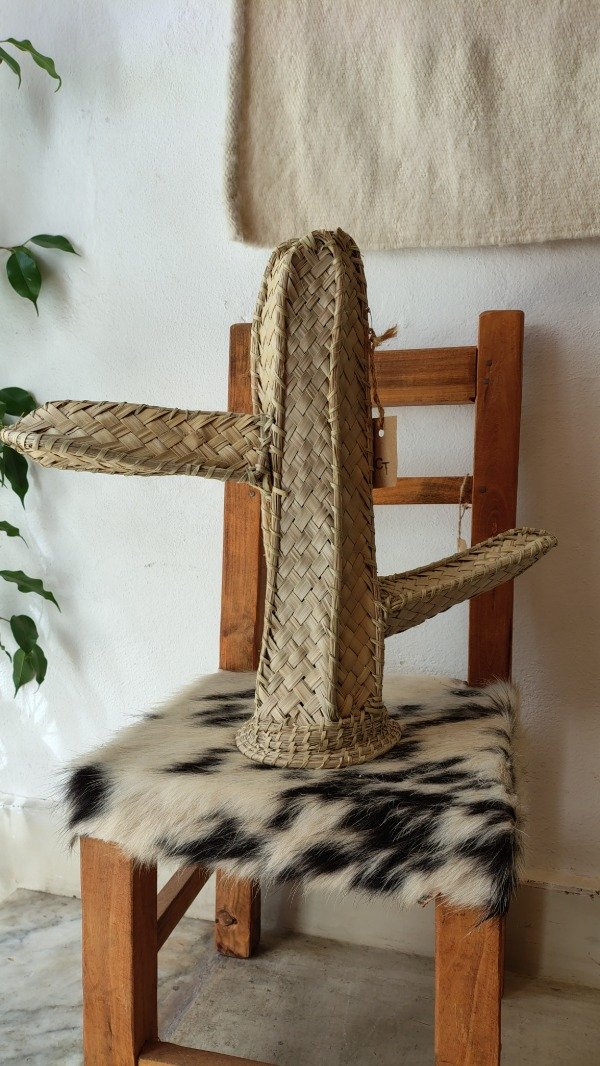 Producto - Cactus Medianos