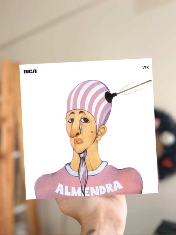 Producto - Almendra Cuadro Varios Modelos