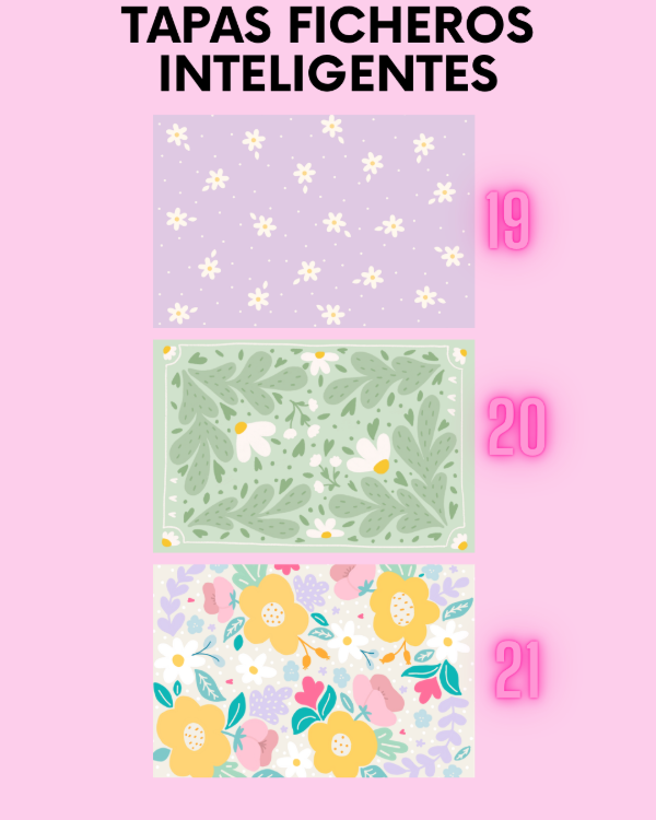 Producto - FICHERO INTELIGENTE N3 13x20 - 9