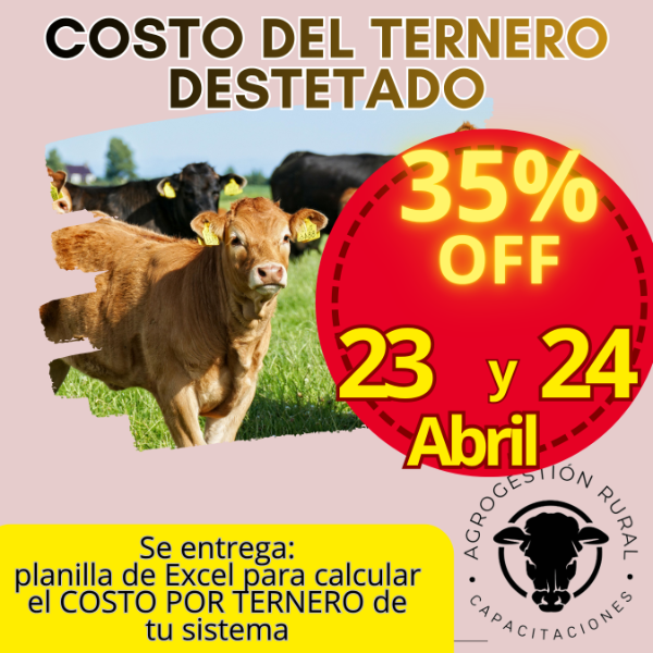 Producto - Taller Online: Costo del Ternero