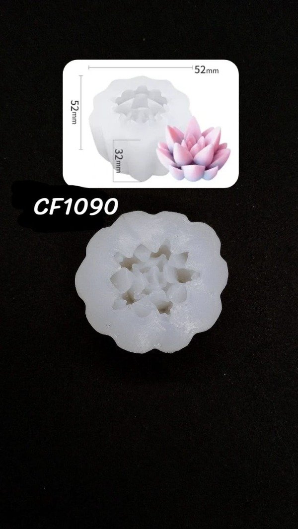 Producto - SUCULENTA Y110 - CF1090