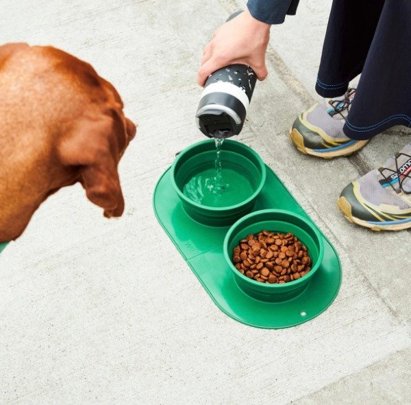 Producto - Bebedero y Comedero 2 en 1 Plegable Mascota