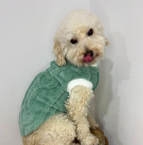 Producto - Buzo peluche