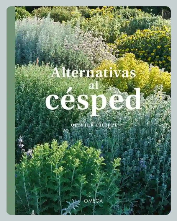 Producto - Filippi: Alternativas al Césped