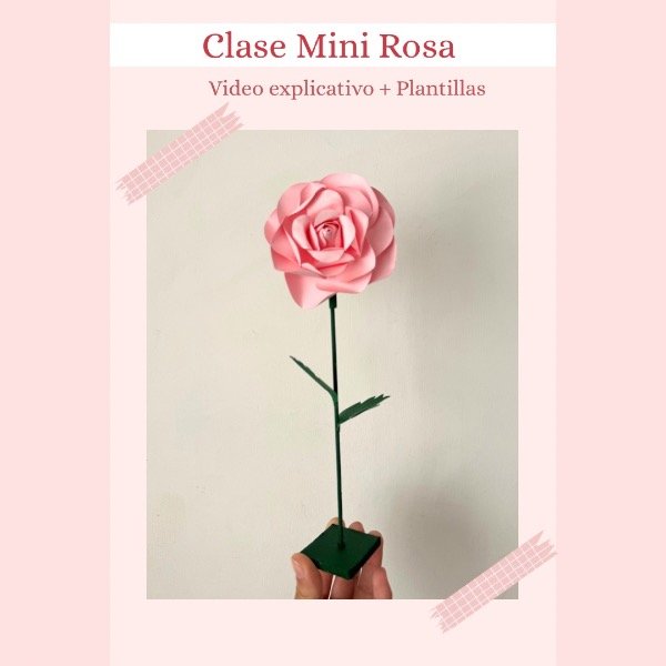 Producto - Clase mini rosa 26cm