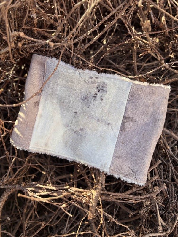 Producto - Cuello Verbena