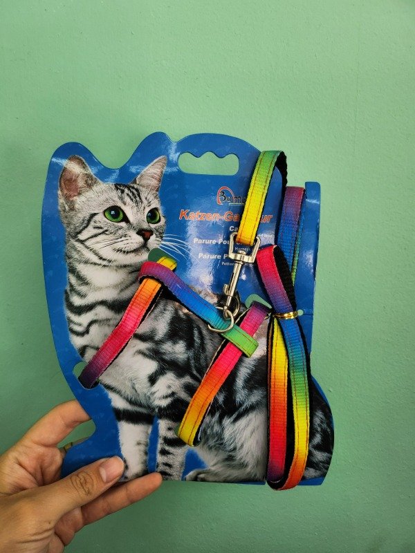 Producto - Arnés + correa para gatos