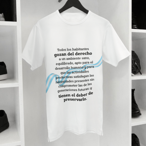 Producto - Artículo 41