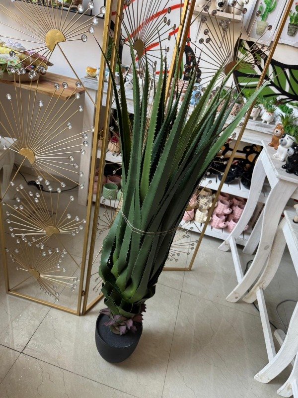 Producto - Planta Aloe 1,25 mts -P4 ( Efectivo: 139.920)
