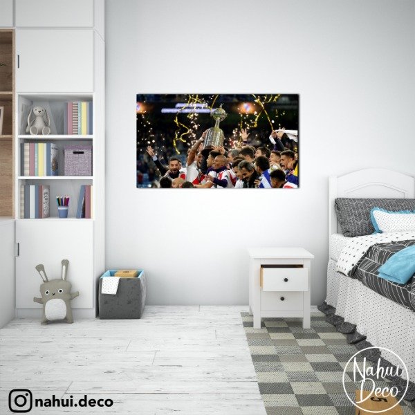 Producto - Cuadro River Plate MOD 1