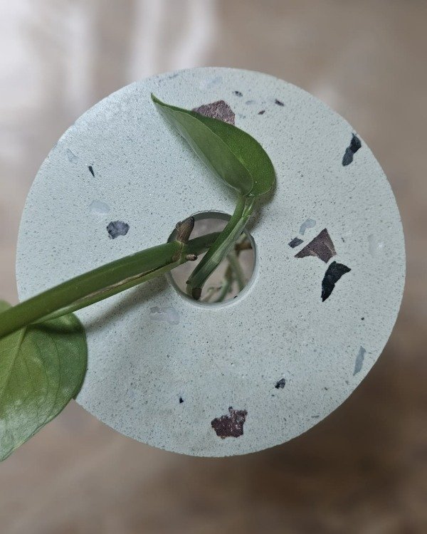 Producto - Hidroterrario - POR PEDIDO