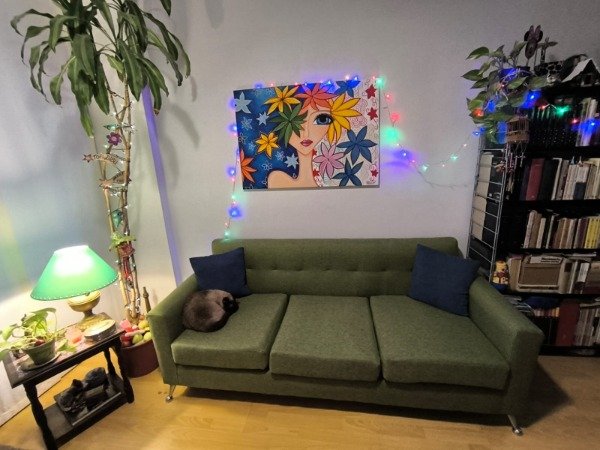 Miniatura de producto - 5