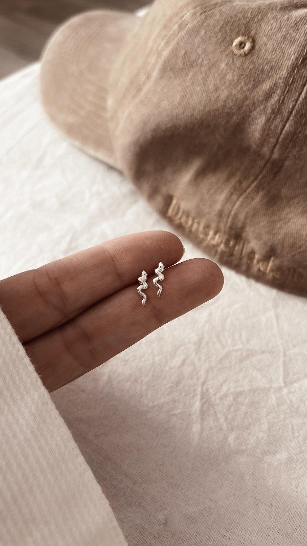 Producto - Aros CyR viboritas plata