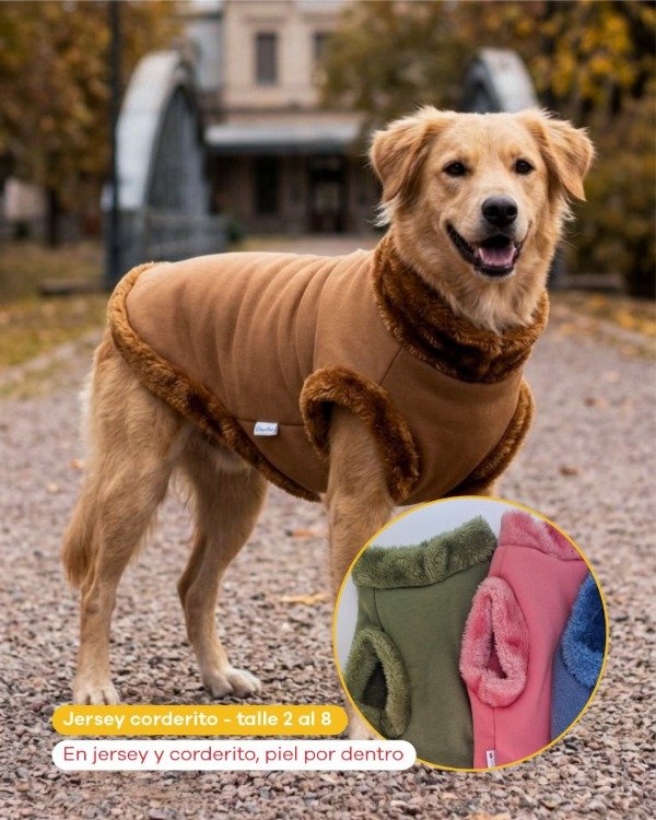 Producto - Buzo jersey y corderito