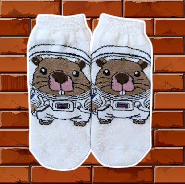 Producto - Capibara astronauta