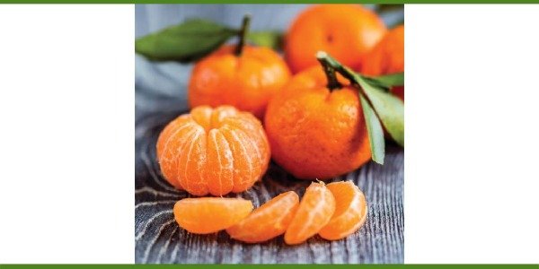 Producto - MANDARINAS AGROECOLÓGICAS Var. Ortanique