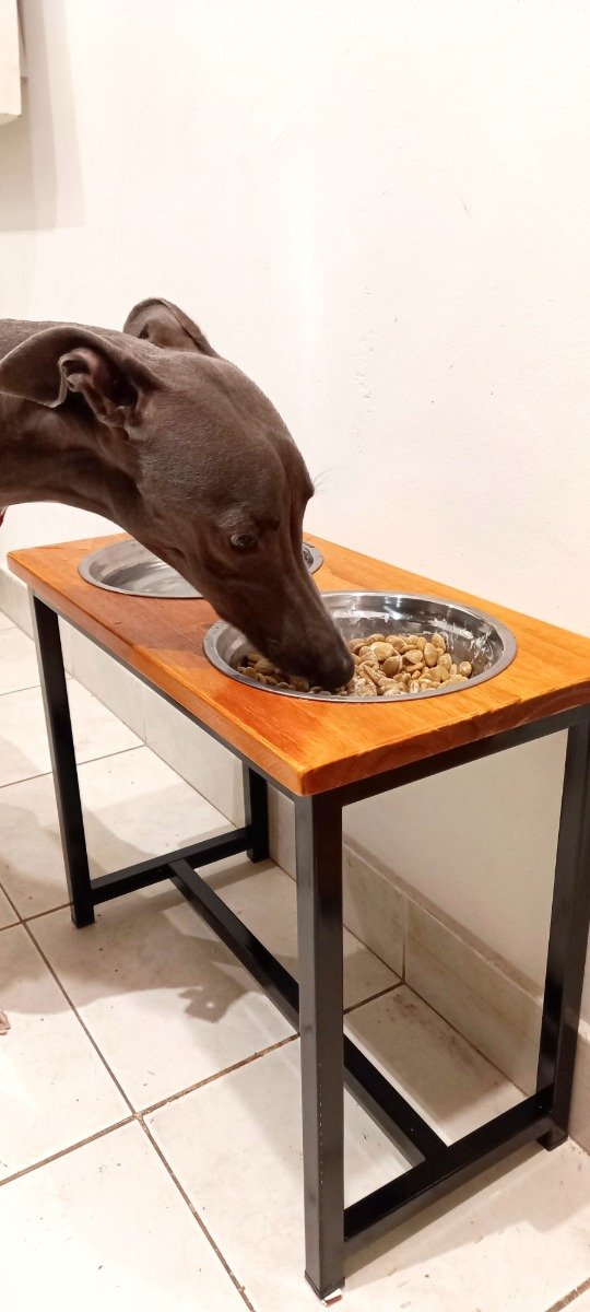 Producto - Comedero En Altura Doble Talle XL