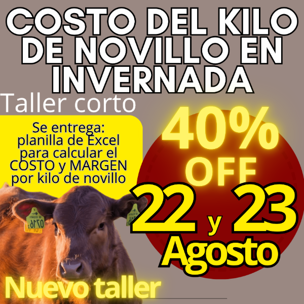Producto - Taller corto: cálculo del costo del kilo de novillo