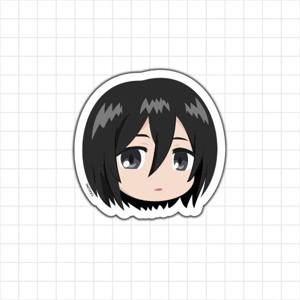 Producto - Mikasa