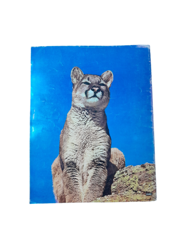 Miniatura de producto - 7