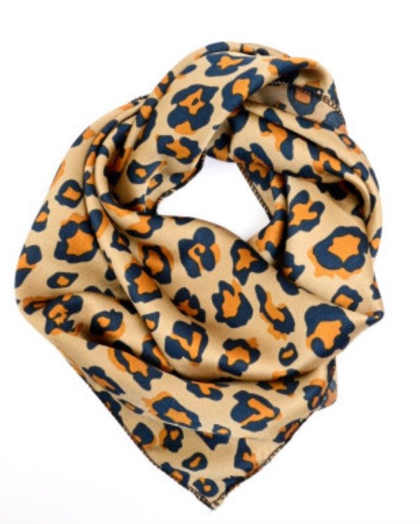 Producto - Pañuelo Bega