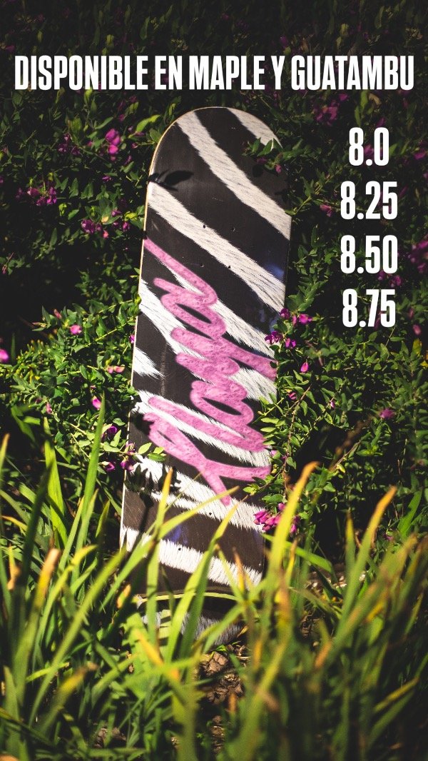 Producto - GUATAMBU ZEBRA