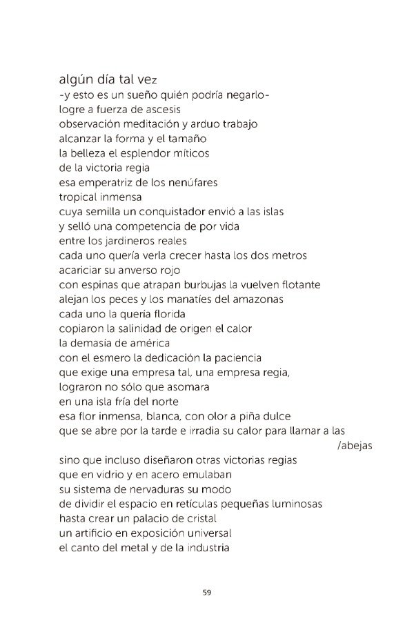 Producto - La furia de las plantas - Anahí Mallol - 2